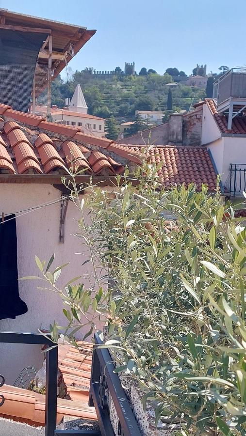 Piranum Guesthouse With Terrace Exterior photo